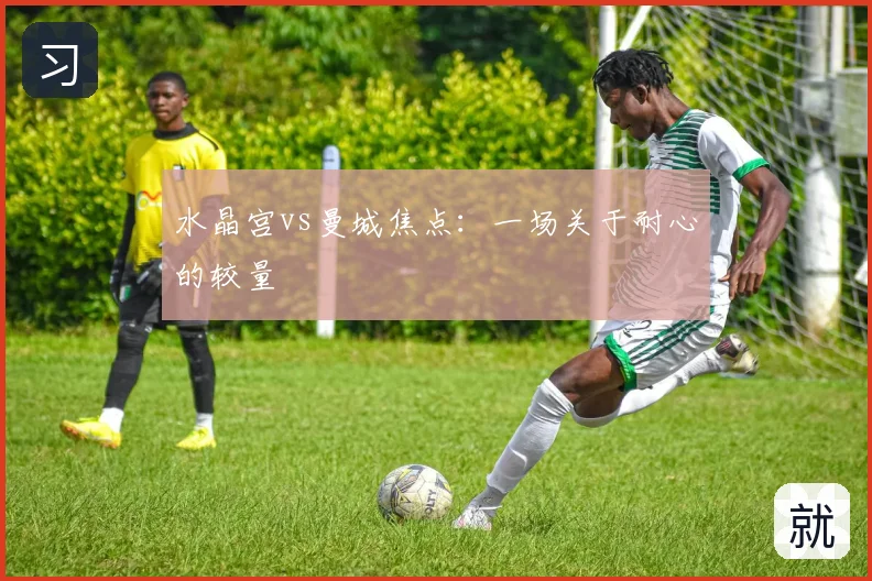 水晶宫vs曼城焦点：一场关于耐心的较量